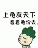 看龟价.gif