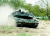 leopard_26_gr.jpg